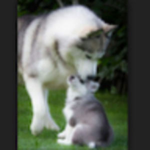 Meet your Posher, Brooklyn